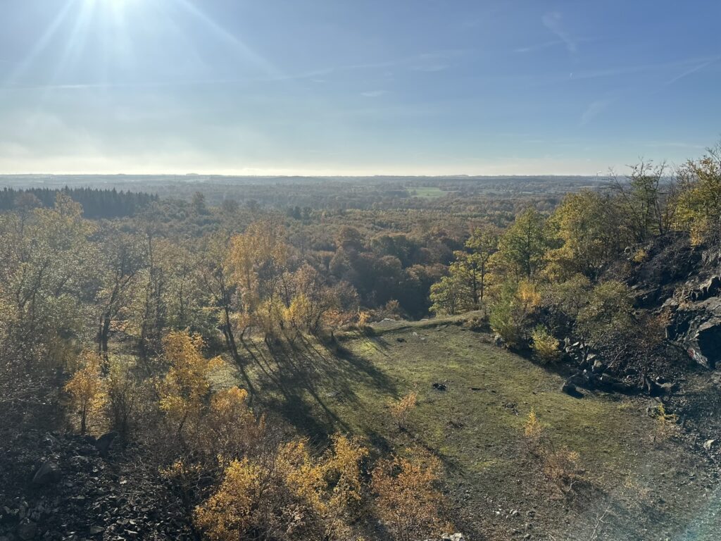 Skog och natur i Söderåsen