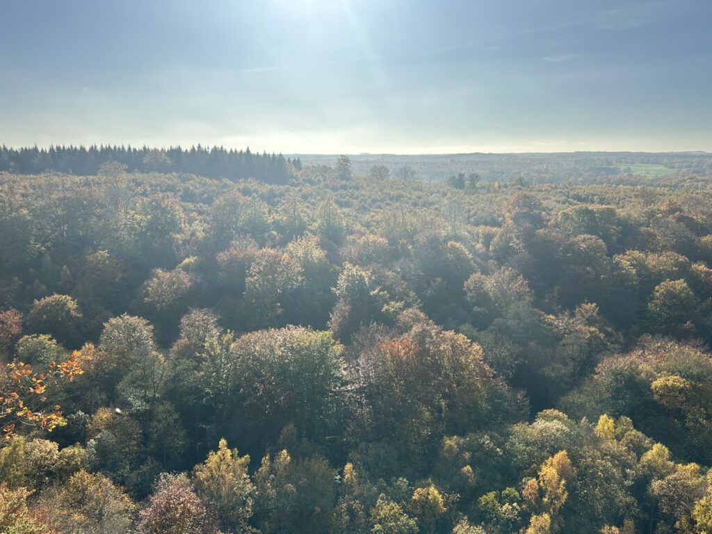 Bild från Stenebo
