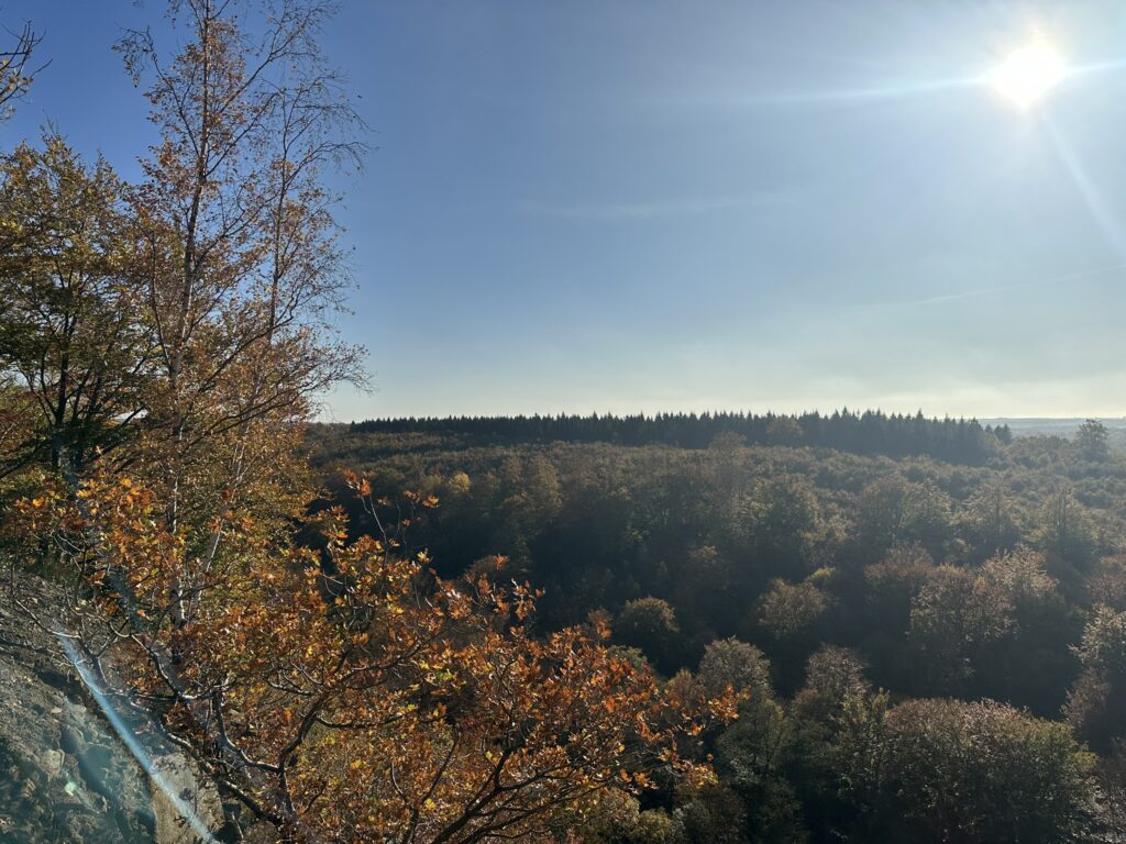 Bild från Stenebo