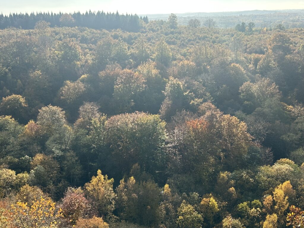 Bild från Stenebo