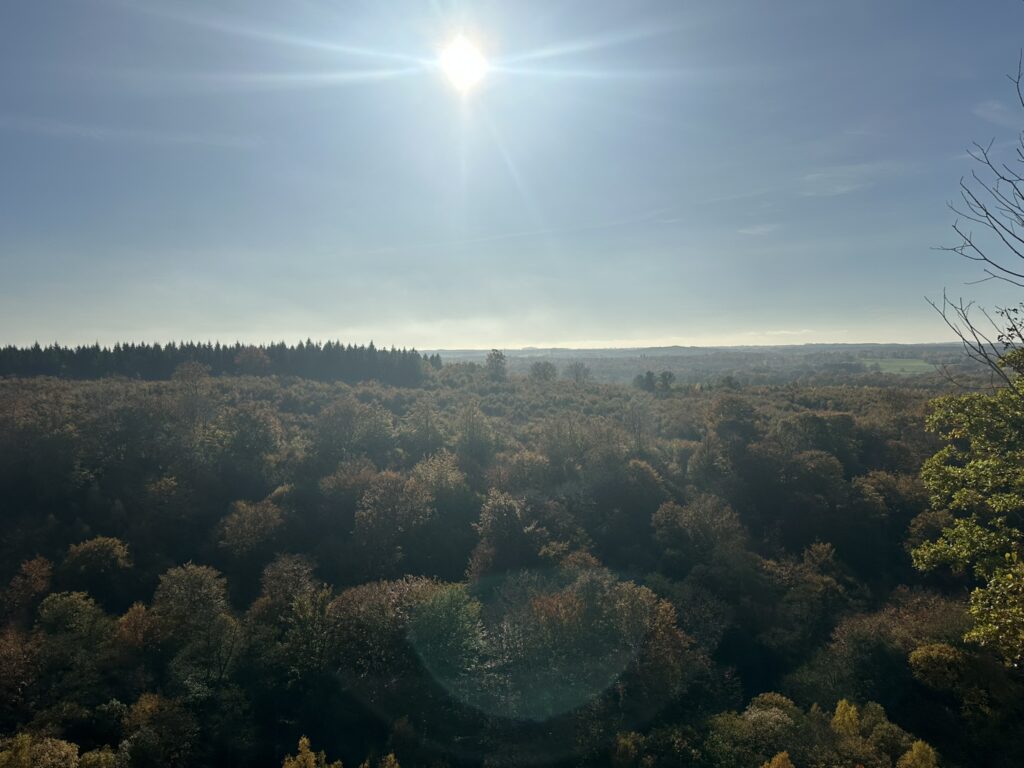 Bild från Stenebo