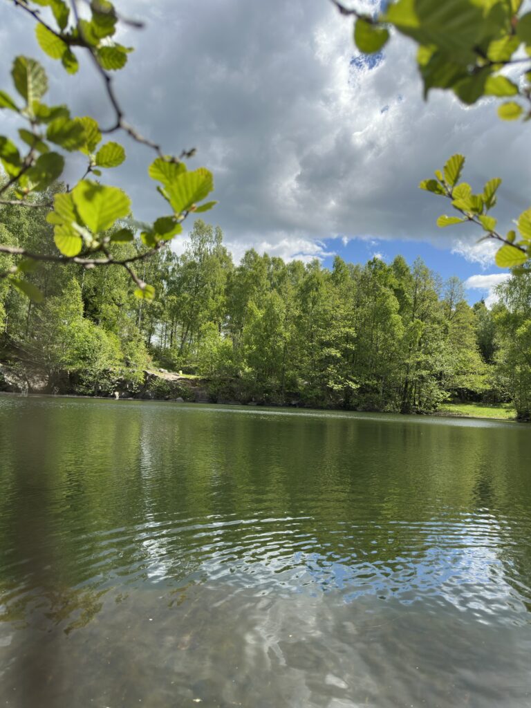Bild från Stenebo