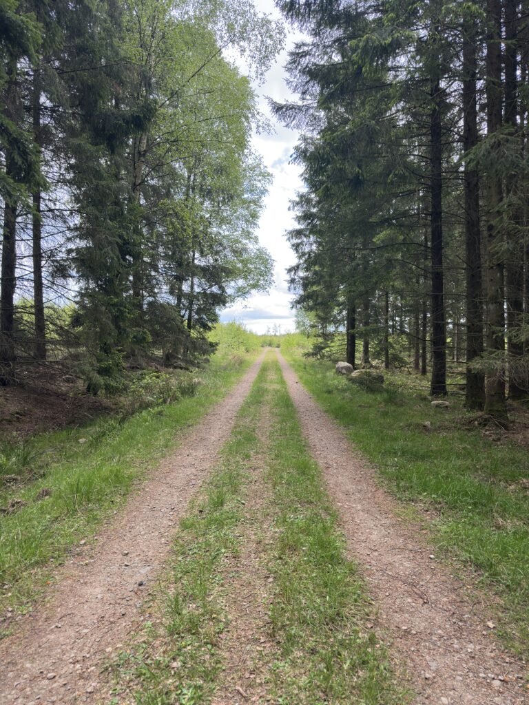 Bild från Stenebo